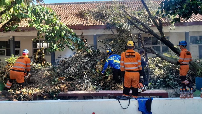 BPBD Bogor: 19 Bencana Menerjang, Hujan-Angin Kencang Rusak Musala dan Sekolah!