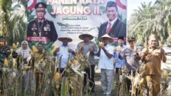 **Polres Kampar Raih 3 Ton Jagung, Dukung Ketahanan Pangan di Riau**
