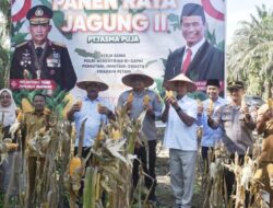 **Polres Kampar Raih 3 Ton Jagung, Dukung Ketahanan Pangan di Riau**