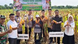 Polres Inhu Sukses Panen 5 Ton Jagung Dukung Swasembada Pangan – Update 1