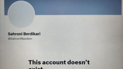 Akun X ‘Sahroni Berdikari’ Menyusut Usai Klarifikasi Fraksi NasDem: Palsu atau Real?