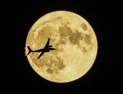 Fenomena Gerhana Bikin Hewan Berperilaku Aneh – Update 1