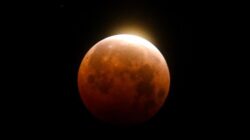 [Tak Terelakkan! Link Live Streaming Gerhana Bulan Total 7 September 2025, Cek Infonya! Ini Waktunya untuk Saksikan!]