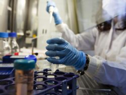 **Kemunculan Wabah Ebola di Kongo Setelah 3 Tahun Mereda, 15 Warga Tewas**
