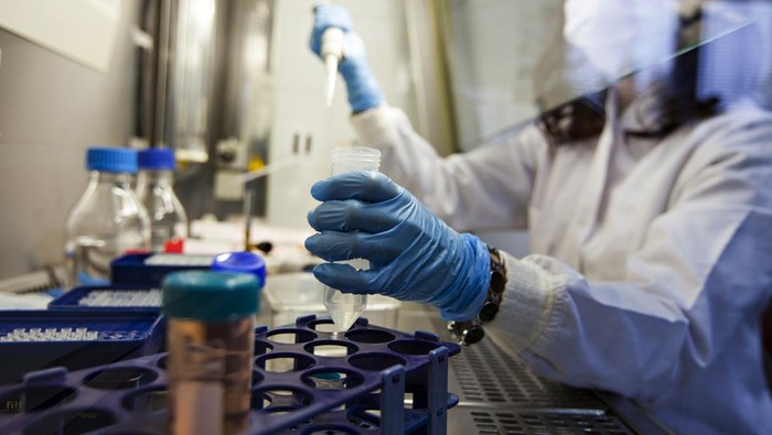 **Kemunculan Wabah Ebola di Kongo Setelah 3 Tahun Mereda, 15 Warga Tewas**