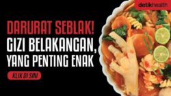 Stunting dan Malnutrisi: Apakah Seblak Menjadi Penyebabnya? Pendapat Ahli Terkini