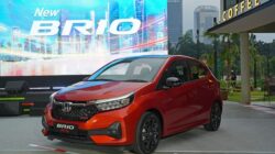 Ternyata Orang Indonesia yang Beli Honda Brio Banyak dari Kalangan Ini, Siapa Sangka?