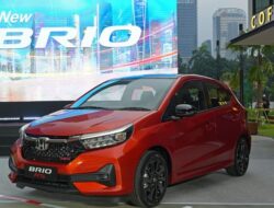 Ternyata Orang Indonesia yang Beli Honda Brio Banyak dari Kalangan Ini, Siapa Sangka?
