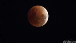 **Simak, Ini Tata Cara Salat Gerhana Bulan saat Ada Blood Moon 7 September**