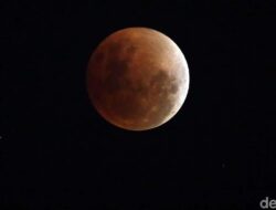 **Simak, Ini Tata Cara Salat Gerhana Bulan saat Ada Blood Moon 7 September**