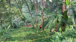 Lagi Cari Rumput, Warga Mojokerto Temukan Potongan Kaki dan Daging Manusia, Ini Fakta yang Menyedihkan!