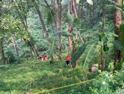 Lagi Cari Rumput, Warga Mojokerto Temukan Potongan Kaki dan Daging Manusia, Ini Fakta yang Menyedihkan!