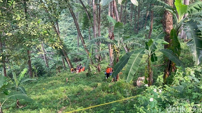 Lagi Cari Rumput, Warga Mojokerto Temukan Potongan Kaki dan Daging Manusia, Ini Fakta yang Menyedihkan!