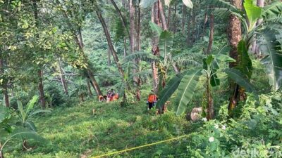 Lagi Cari Rumput, Warga Mojokerto Temukan Potongan Kaki dan Daging Manusia, Ini Fakta yang Menyedihkan!