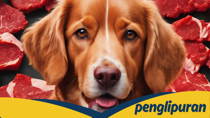 DMFI Dorong Pemprov Riau Cegah Perdagangan Daging Anjing, Gagasan yang Menyelamatkan Hewan