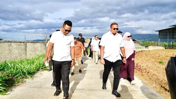 Andre Ajak MBG Sumbar Cintai Susu Lokal, Dukung Peternak Solok!