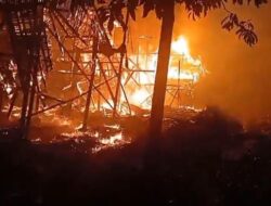 **Kebakaran Devastasi: 8.500 Ayam Tewas di Kandang Ternak Lebak, Peternak Merugi Besar**
