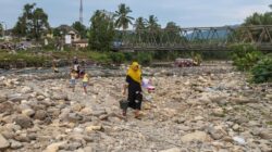 BPBD Serang Peringatkan: Sungai Ciujung, Habitat Asli Buaya, Waspada!