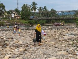 BPBD Serang Peringatkan: Sungai Ciujung, Habitat Asli Buaya, Waspada!