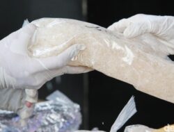 **455,9 Gram Sabu Dikamuflase dalam Bohlam, Pengedar Narkoba di Jaksel Terjaring**