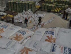 “Swasembada Beras Berkah Nasional, Tapi Dilema Global Mengintai”