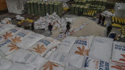“Swasembada Beras Berkah Nasional, Tapi Dilema Global Mengintai”