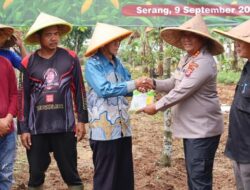 “Polda Banten Akan Tanam Jagung 724 Hektare, Dukung Swasembada Pangan!” 🌾💪