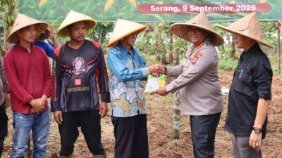 “Polda Banten Akan Tanam Jagung 724 Hektare, Dukung Swasembada Pangan!” 🌾💪