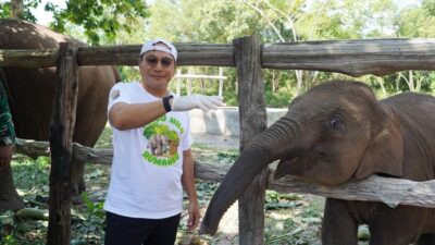 “Tari Si Gajah TN Tesso Nilo Mati, Kapolda Riau Beri Peringatan Serius”