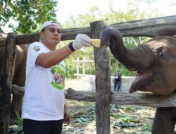 Kapolda Riau: Tari Bukan Gajah, Suara Hutan Tesso Nilo Berbicara