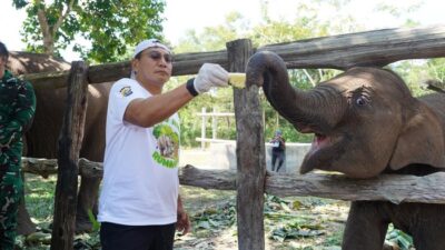 Kapolda Riau: Tari Bukan Gajah, Suara Hutan Tesso Nilo Berbicara