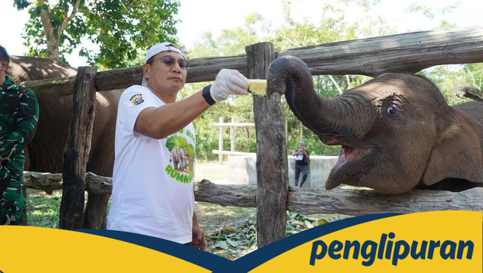Kapolda Riau: Tari Bukan Gajah, Suara Hutan Tesso Nilo Berbicara