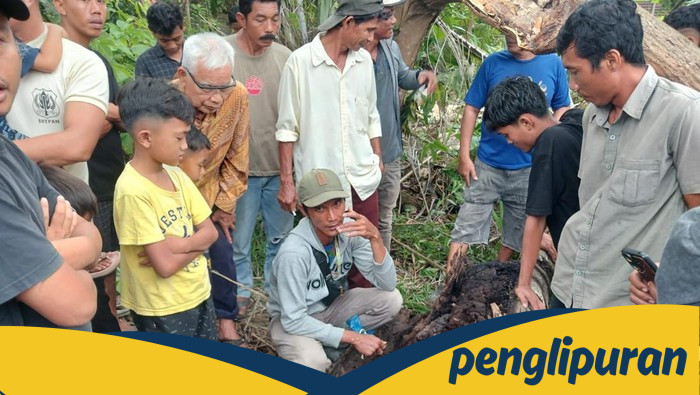 **Kata Kades soal Misteri Kerangka Manusia Dalam Pohon di Sumut: Penemuan Mengerikan di Desa Pematang Ganjang**