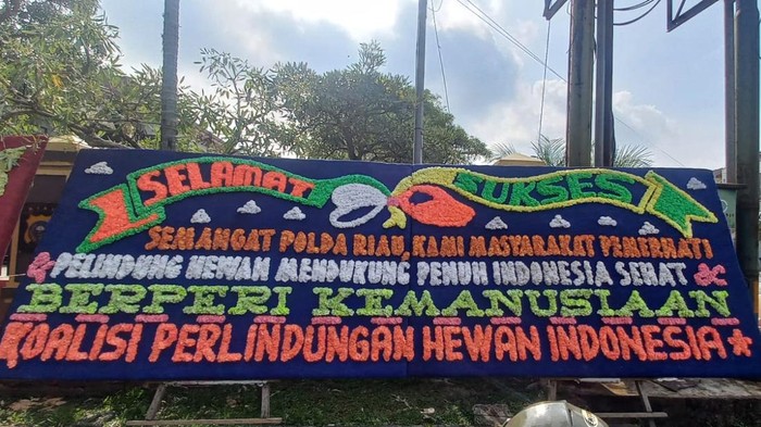 Polda Riau Bongkar Jagal Anjing, Ribuan Bunga dari Komunitas Anjing Menyentuh Hati!