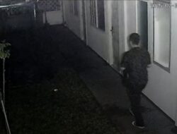 Keluarga Diplomat Kemlu yang Tewas di Menteng Minta Perlindungan LPSK: Drama diplomatik yang mengejutkan