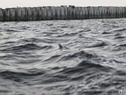 Komisi IV DPR Ancam Panggil KKP: Tanggul Beton di Jakut Ancam Kehidupan Warga?