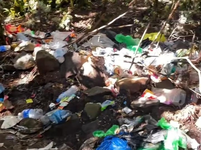 **Gunung Gede Pangrango Diliputi Sampah Usai Libur Panjang, Para Pendaki Dinilai Tak Bertanggungjawab!**