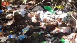 **Gunung Gede Pangrango Diliputi Sampah Usai Libur Panjang, Para Pendaki Dinilai Tak Bertanggungjawab!**
