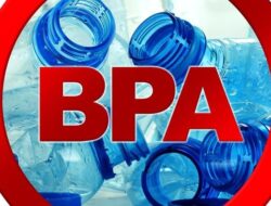 ‘BPA Lebihi Batas Aman, Galon Berbahaya ini Ternyata Menyerang Anak-anak!’