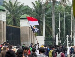 Dari Indonesia hingga Nepal-Prancis: Bendera One Piece Meneriakkan Solidaritas Global!