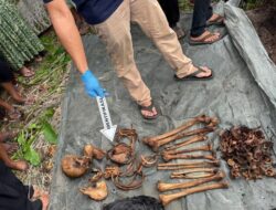 Langkah Terbaru Mengungkap Misteri Kerangka Manusia dalam Pohon di Sumut – Update 1