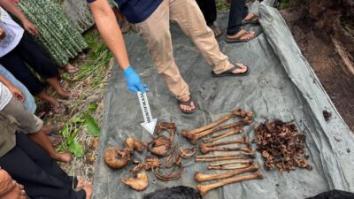 Langkah Terbaru Mengungkap Misteri Kerangka Manusia dalam Pohon di Sumut – Update 1