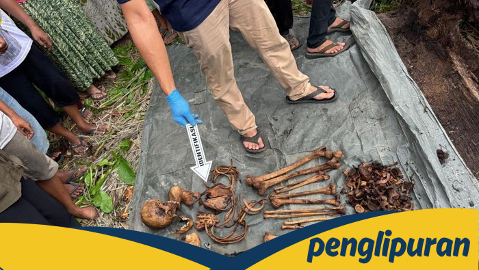 Langkah Terbaru Mengungkap Misteri Kerangka Manusia dalam Pohon di Sumut - Update 1