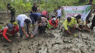 Green Policing di Dumai, Polsi Ajak Anak SD Tanam Mangrove Pinggir Pantai – Update 1