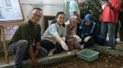 Panen Perdana Maggot, Walkot Semarang: Apresiasi Budidaya yang Mempesona!