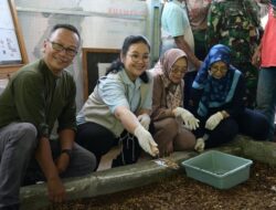 Panen Perdana Maggot, Walkot Semarang: Apresiasi Budidaya yang Mempesona!