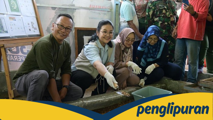 Panen Perdana Maggot, Walkot Semarang: Apresiasi Budidaya yang Mempesona!