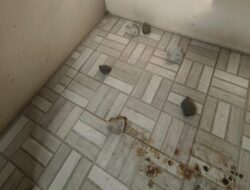 Viral Masjid di Bogor Dilempari Batu, Polisi Bergerak Cari Pelaku – Alternatif 1