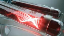 **Waduh! Ilmuwan Australia Temukan Virus Baru pada Kelelawar, Menambah Kesiapan Melawan Penyakit Menular**
