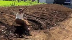 Dosen UIN Malang Guling-guling dalam Ribut Tetangga, Reaksi Kampus Terungkap